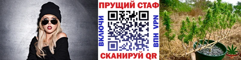 Купить наркотики Лукоянов ГАШ  Кокаин  Меф мяу мяу 