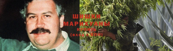 прущие крисы Алзамай